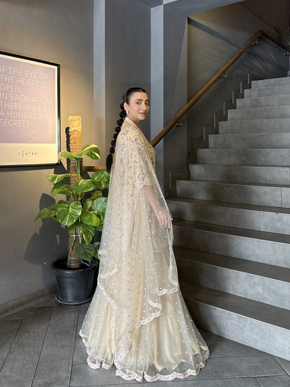 Roohi